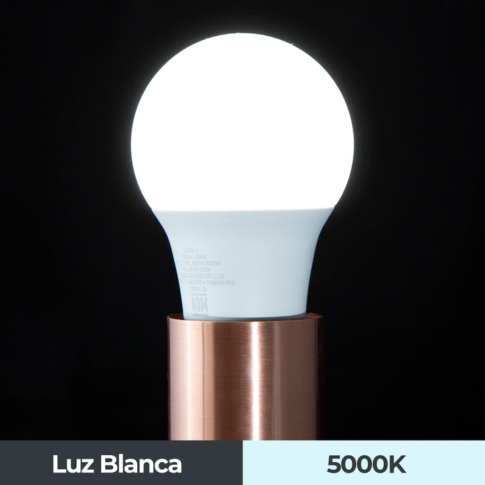 FOCO LED A60 12W E27 6000K LUZ BLANCA ILUMINA – i-Lumina